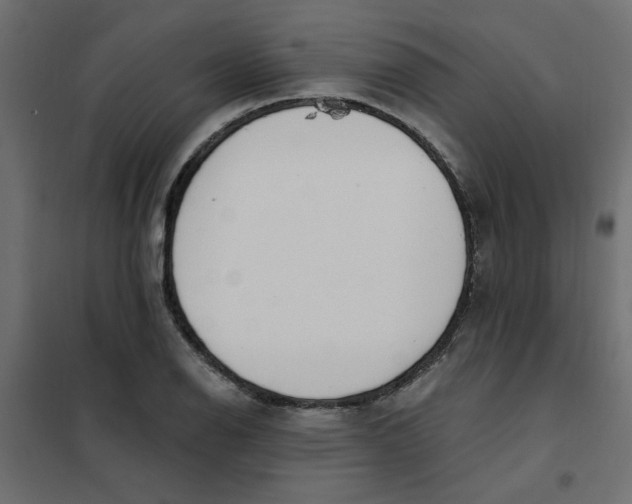 X0000102001126200808081654