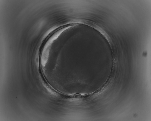 X0000102001127200808081654