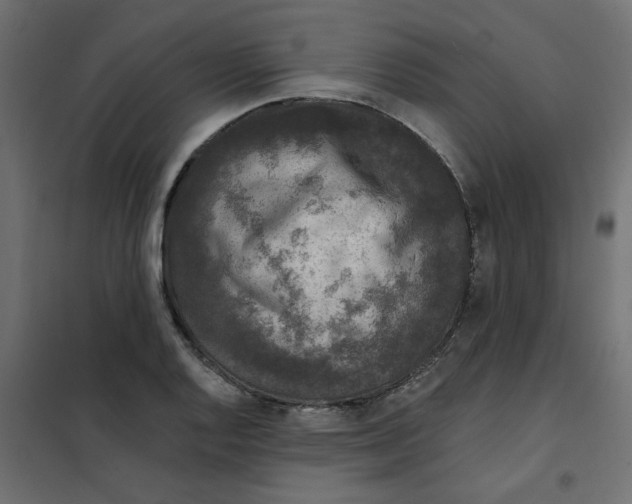 X0000102001128200808081654