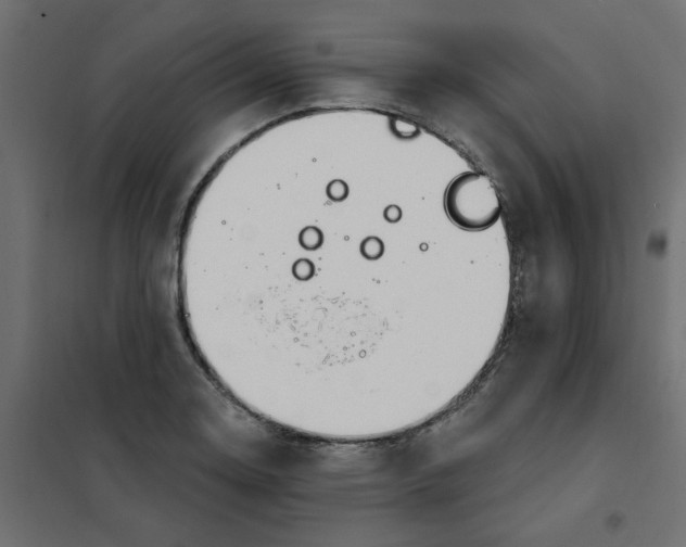 X0000102001130200808081654