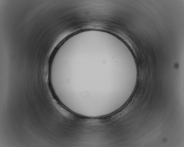 X0000102001131200808081654