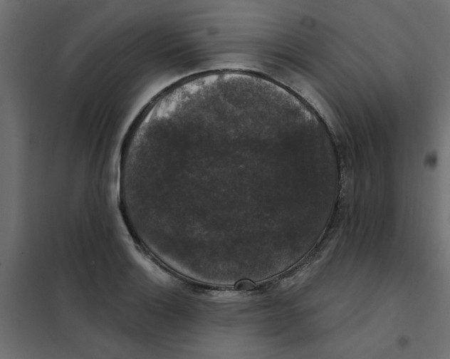 X0000102001132200808081654