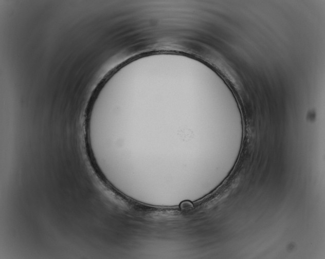 X0000102001133200808081654