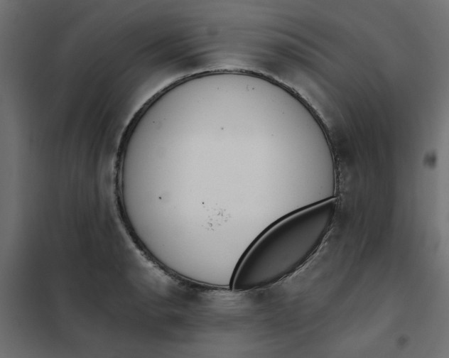 X0000102001134200808081654