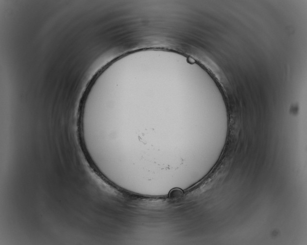 X0000102001135200808081654