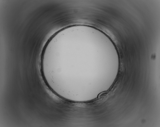 X0000102001136200808081654