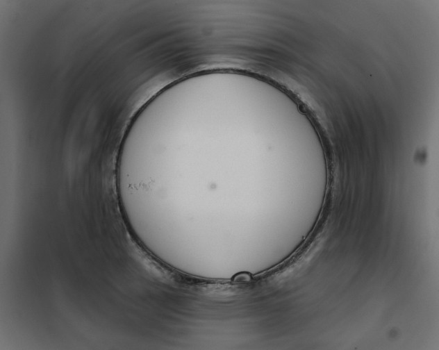 X0000102001137200808081654