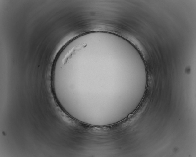 X0000102001138200808081654