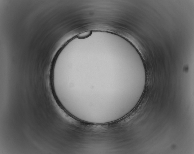 X0000102001139200808081654