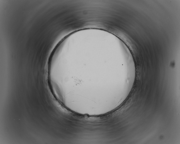 X0000102001140200808081654