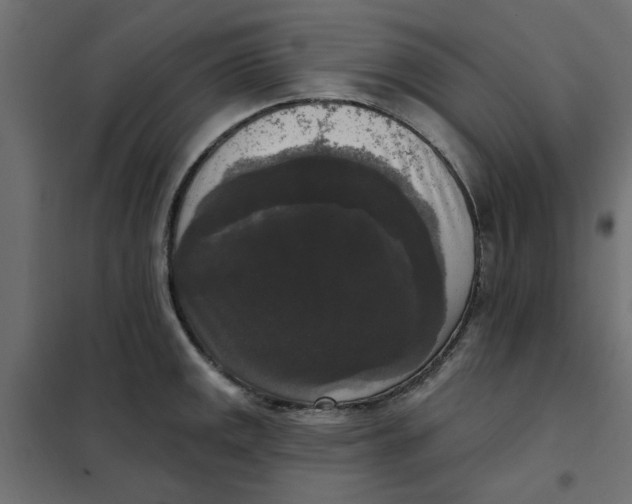 X0000102001141200808081654