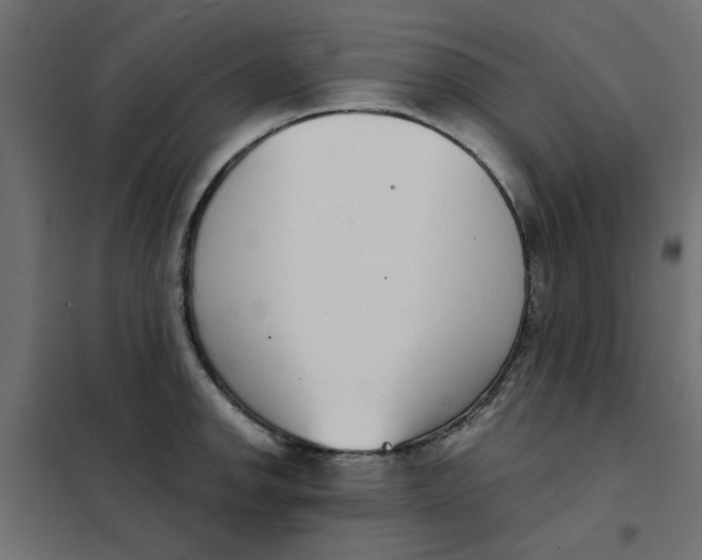 X0000102001142200808081654