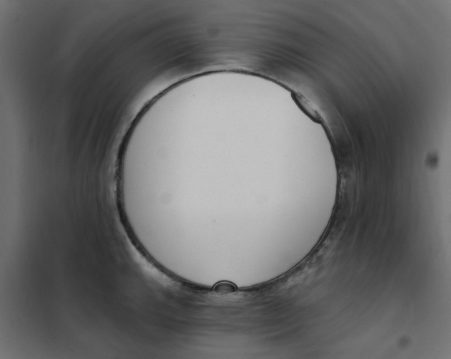 X0000102001143200808081654