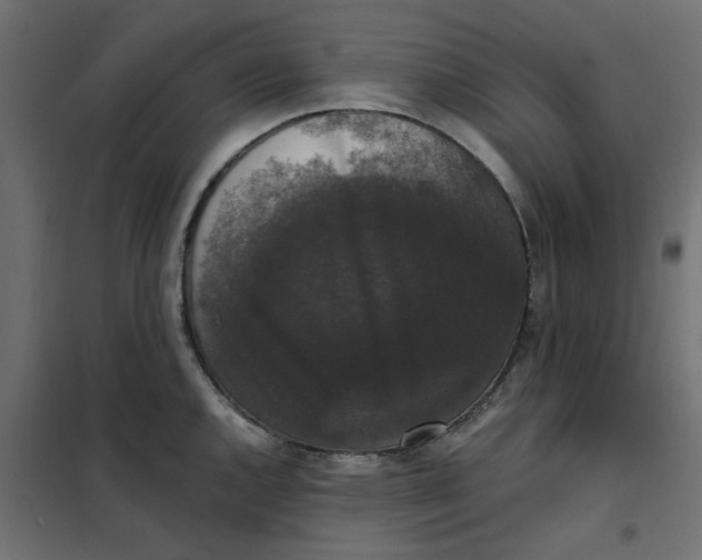 X0000102001144200808081654