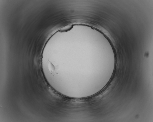 X0000102001145200808081654