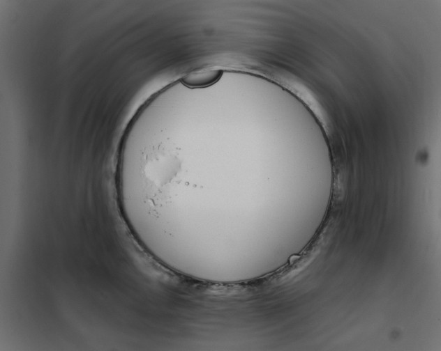 X0000102001146200808081654