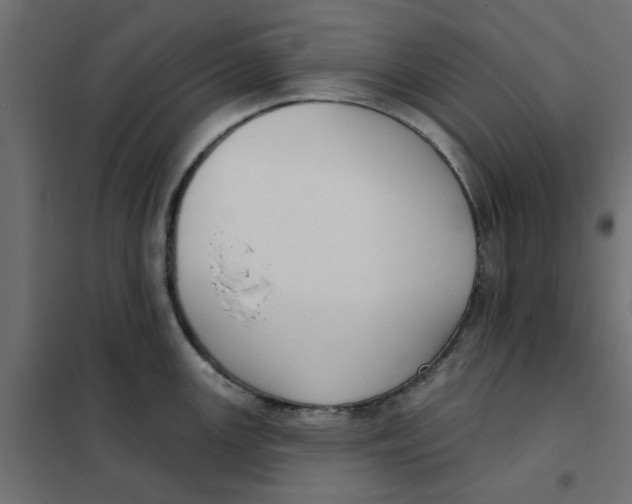 X0000102001147200808081654