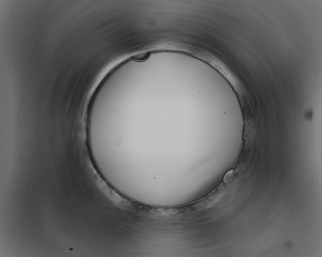 X0000102001148200808081654