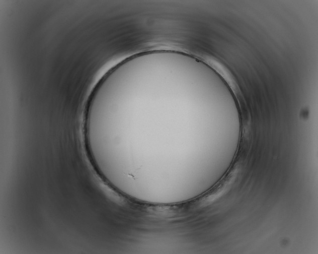 X0000102001149200808081654