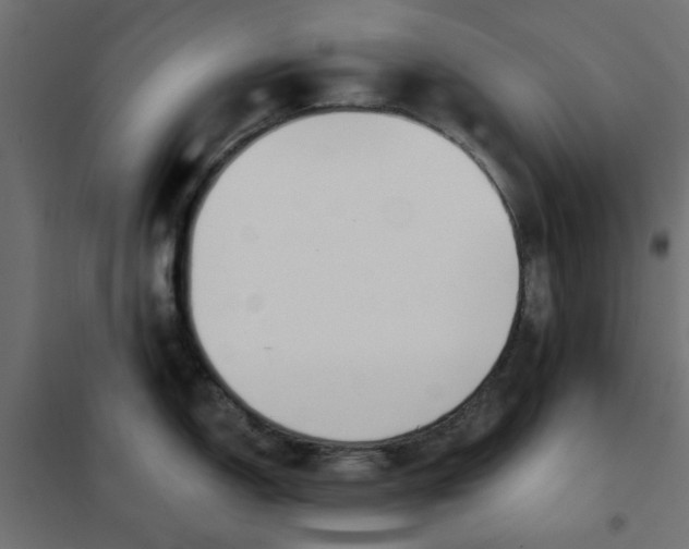 X0000102001150200808081654