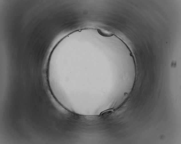 X0000102001152200808081654