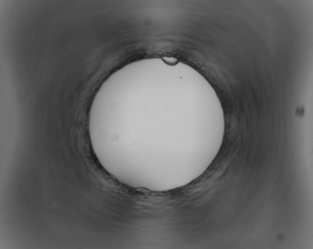 X0000102001153200808081653