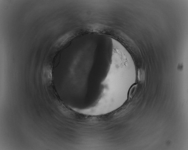 X0000102001155200808081653