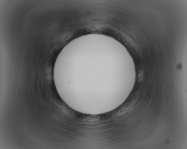 X0000102001156200808081653