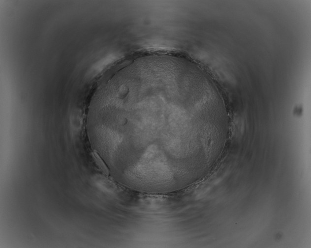 X0000102001157200808081653