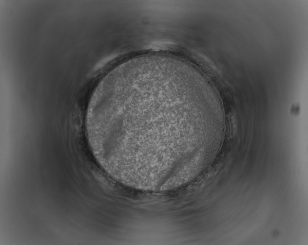 X0000102001158200808081653