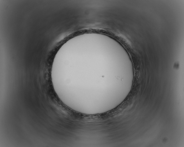 X0000102001159200808081653