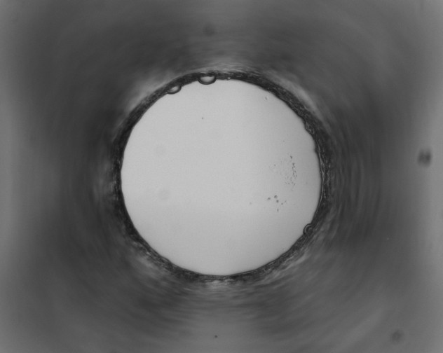 X0000102001160200808081653