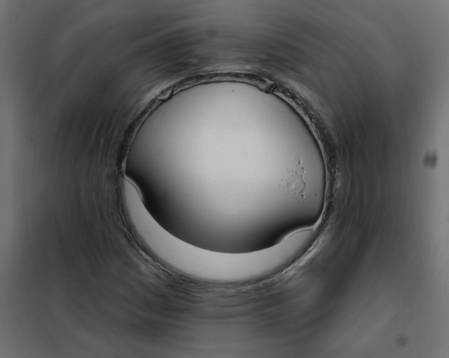 X0000102001161200808081653