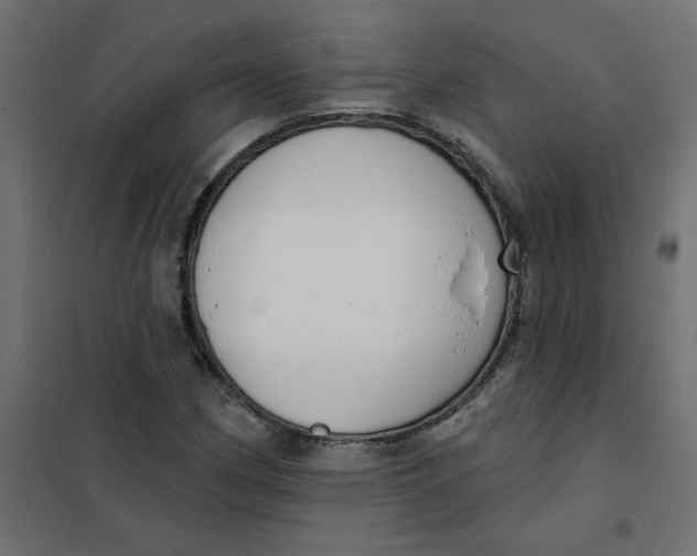 X0000102001162200808081653