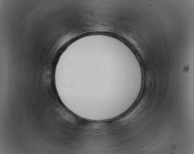 X0000102001163200808081653