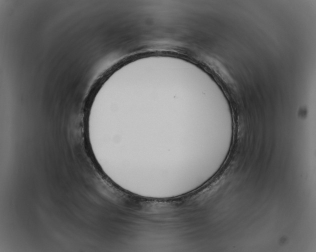 X0000102001164200808081653