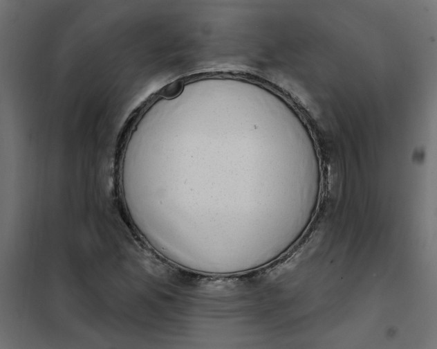 X0000102001165200808081653