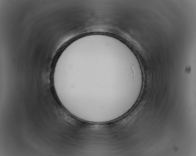 X0000102001166200808081653