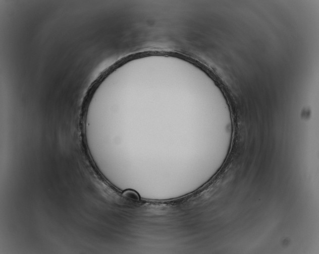 X0000102001168200808081653