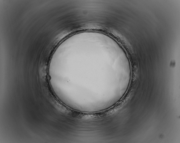 X0000102001169200808081653