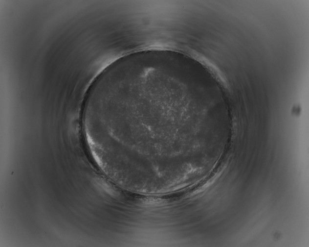 X0000102001170200808081653