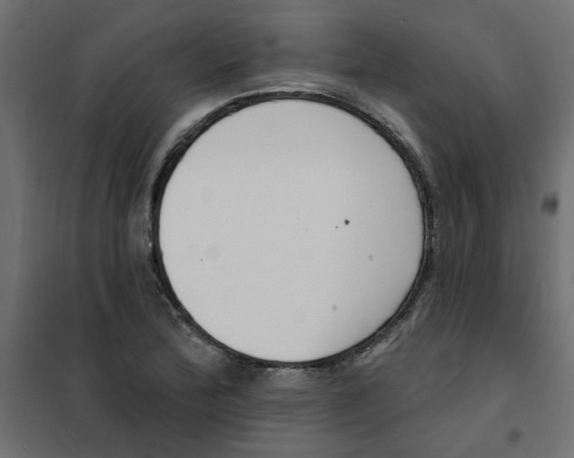 X0000102001172200808081653