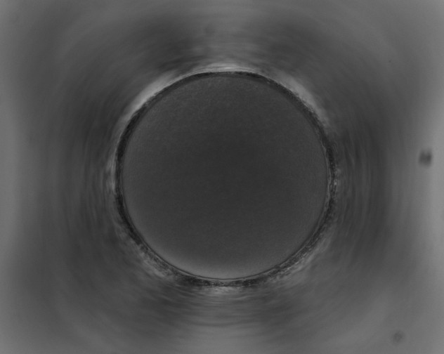 X0000102001173200808081653