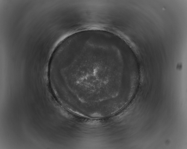 X0000102001174200808081653