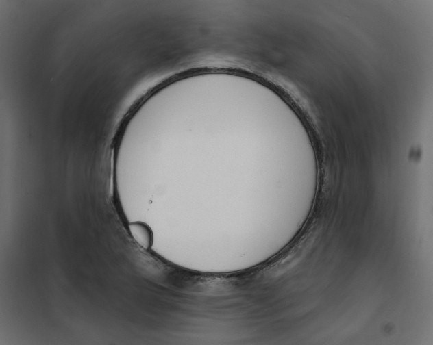 X0000102001175200808081653