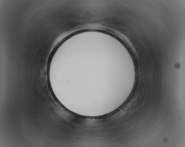 X0000102001176200808081653