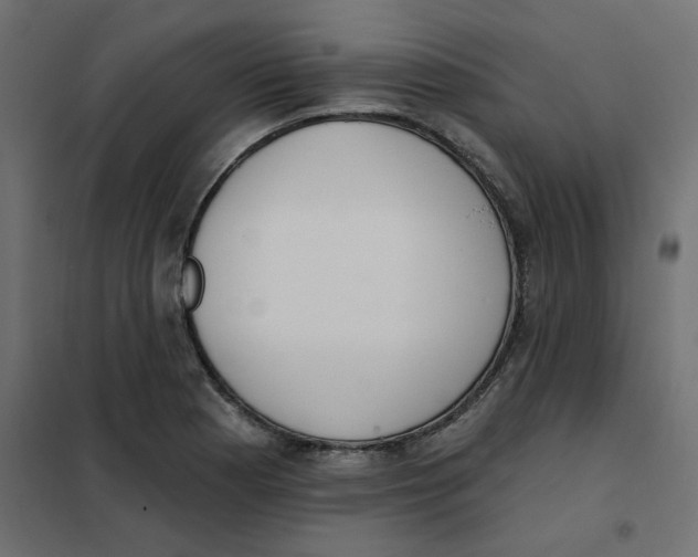 X0000102001177200808081653