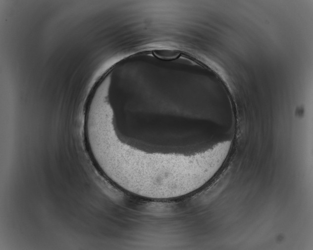 X0000102001179200808081653