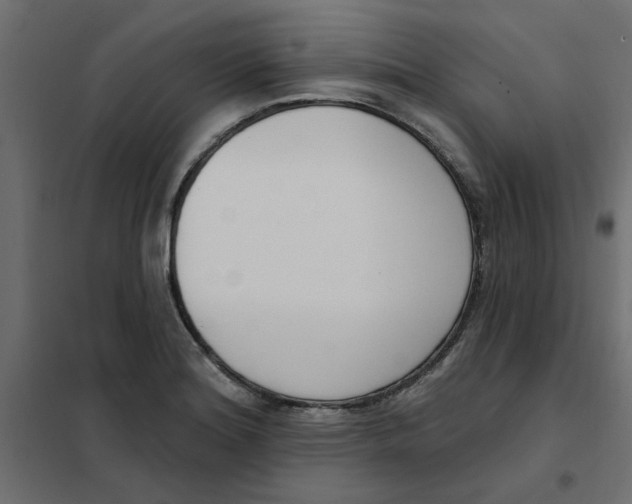 X0000102001180200808081653