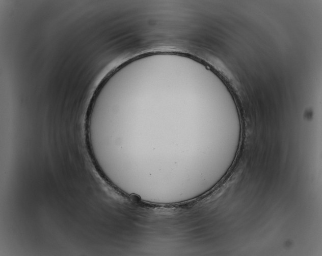 X0000102001181200808081653